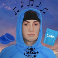 Twellz - Sundown