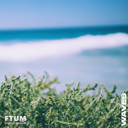 Beau Walker - Waves [FTUM Release] · Tropical & Chill Background Music