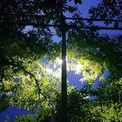 (찬송가1048장)오 친구여 외롭고 괴로울때