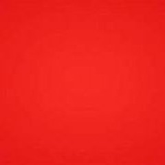 Tulips (Feat. Daveynotdavid)