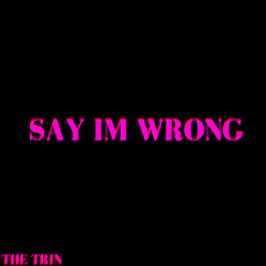 Say Im Wrong