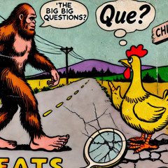 The Big Question ?