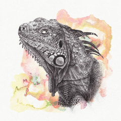 Epsilon Iguana - Great Dane (NGHTRUNR Flip)