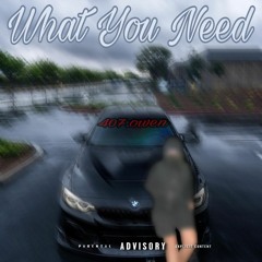407.Owen - What You Need