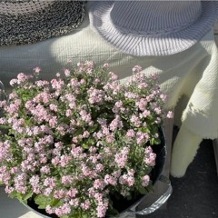 โอ้โหเธอหวานเจี๊ยบบบ😘