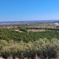 An Excercise in Melody and Rhythm pt 1