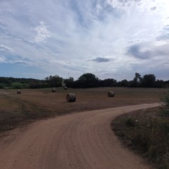 fields of sardinia