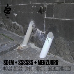 SDEM + SSSSSS + Menzurrr - Aaja Channel 2 - 08 12 22