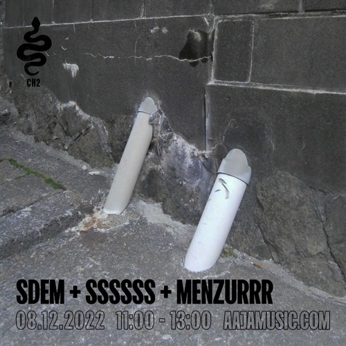 SDEM + SSSSSS + Menzurrr - Aaja Channel 2 - 08 12 22