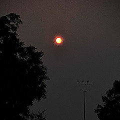 Love Me Badder [ BARAVIKOULA PRODZ x MAXDON FIJI ] Moombahchill