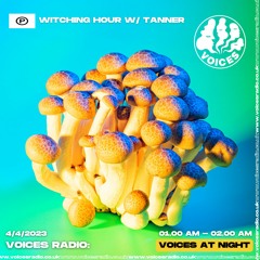 Witching Hour W/ Tanner - Voices Radio 4/4/23