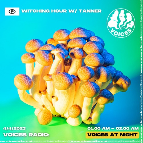 Witching Hour W/ Tanner - Voices Radio 4/4/23