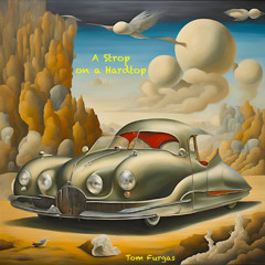 A Strop on a Hardtop (Tom Furgas)