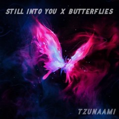 Still Into You x Butterflies (Paramore x William Black x Fairlane) [TZUNAAMI MASHUP]