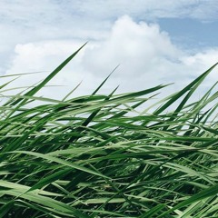 하나님은 너를 지키시는 자