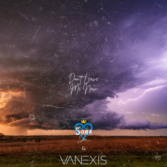 Don't Leave Me Now (feat. Vanexis)