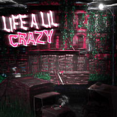 LIFE A LIL CRAZY (Prod tadeoexq)