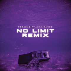 No Limit (Remix)