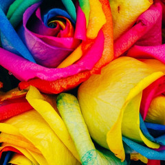 hold on to me | made on the Rapchat app (prod. by ColdWhite)