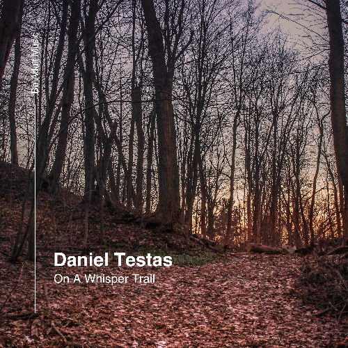 Daniel Testas - Sabre Wing (Original Mix) [Out 7th Jul 2025]