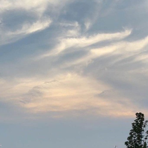 some unreleased projects (: w/ 신성한바티칸, nez, dthd, invasivespecies, gabby, & splonk