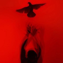 citadel (prod. @1kxxdo)