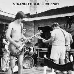 Ted Nugent COVER Jam STRANGLEHOLD - LIVE 1981 (Michalski-Snyder-Berg-Steele&Co)