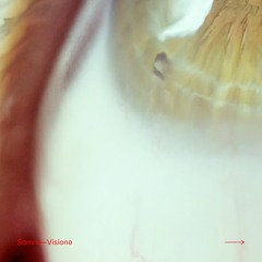 VISIONE01