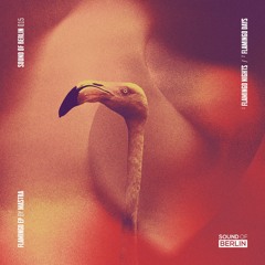 Flamingo Days