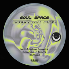Seduccion Fvnk (Zombies in Miami Remix)