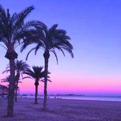 Miami Nights