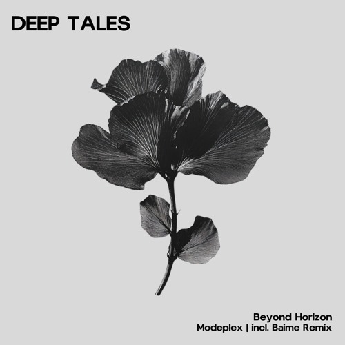 PREMIERE: Modeplex ─ Beyond Horizon (Baime Remix) [Deep Tales]