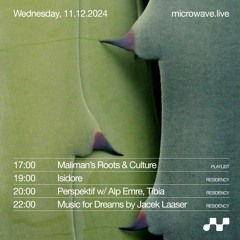 11.12.2024 Perspektif w/ Alp Emre