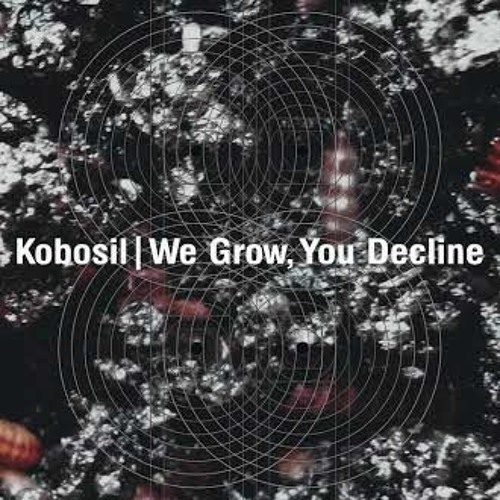 Kobosil -- Reflection