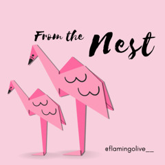From The Nest #001