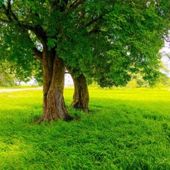 ------. background (FREE DOWNLOAD)