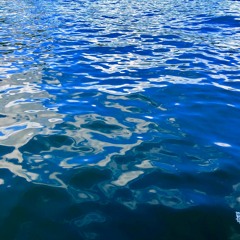 Saturday Morning Boat Traffic Disquiet0436