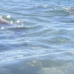 Ben Haworth - (I Wanna Give You) Devotion