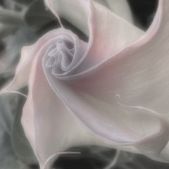 空中ブランコ(cover)