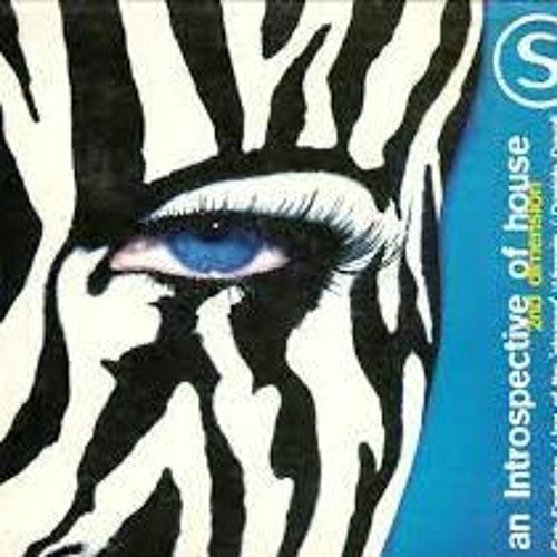 An Introspective Of House 2nd Dimension Daniele Davoli