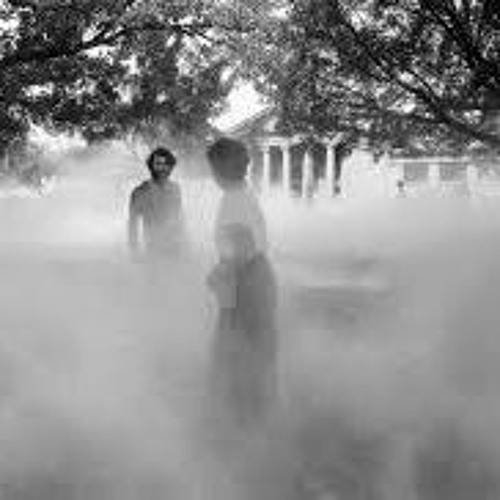 Emerging from fog