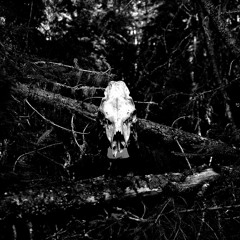 Ayup Instrumental [Bonus]