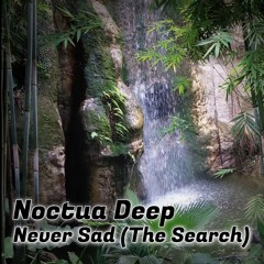 Turbinens Sounds_Noctua Deep - Never Sad (The Search)