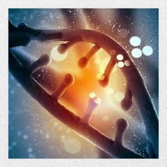 New Life Begins