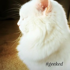 IT'S THE JOLLY TIME OF THE YEAR 🎄🎄🎅🎅