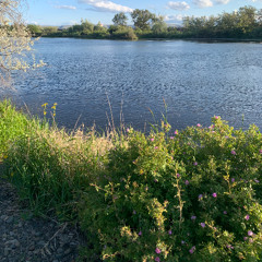 Rise Within: A Spiritually Uplifting Afro House Journey