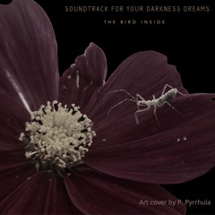 Soundtrack For Your Darkness Dreams