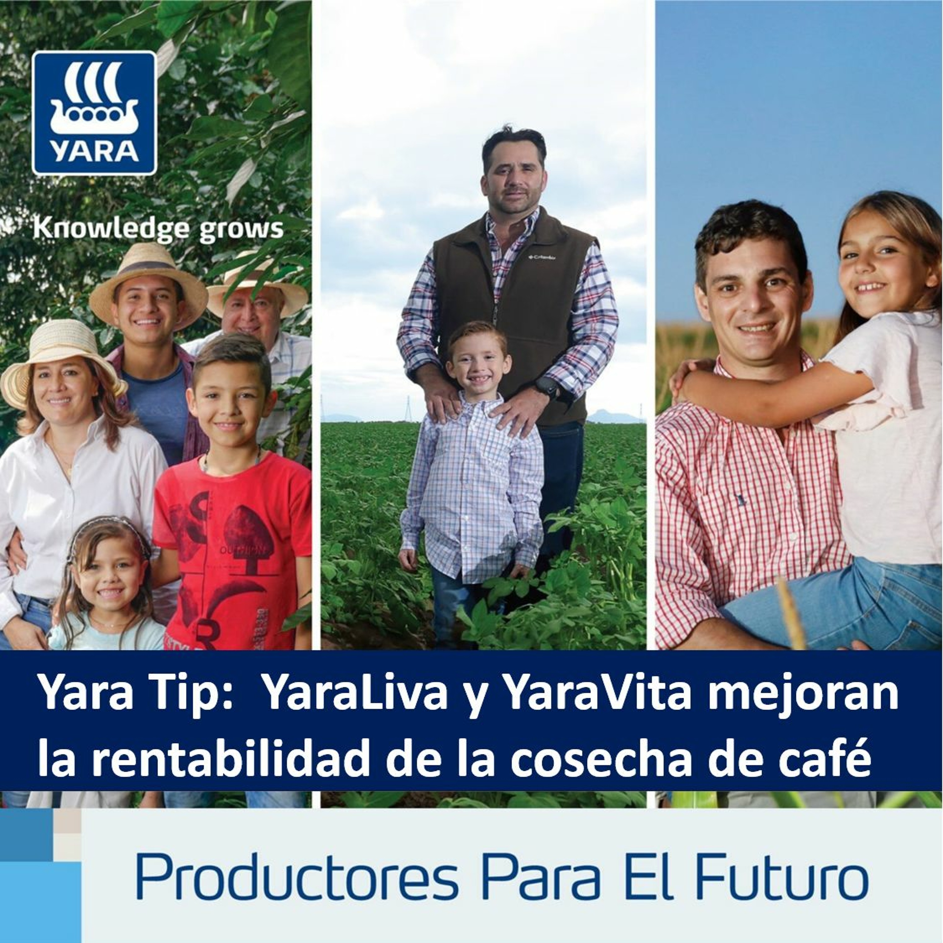 Productores Para El Futuro