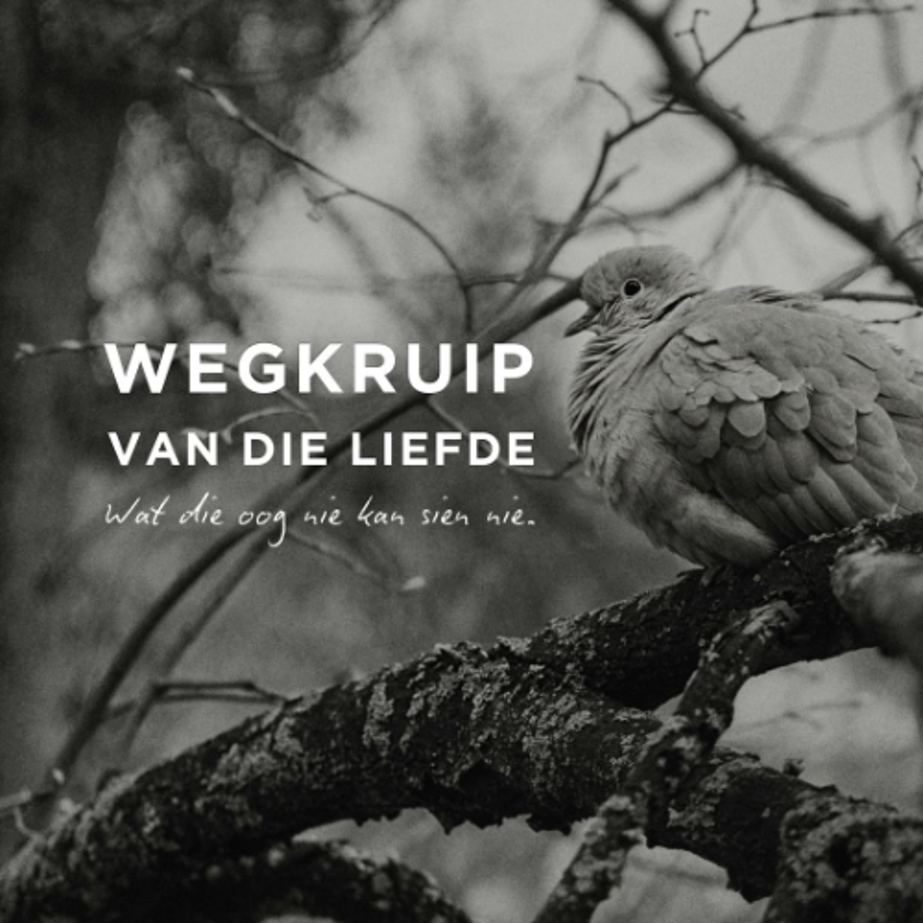 Wegkruip van die Liefde: Wat die oog nie kan sien nie deur Deon Meiring