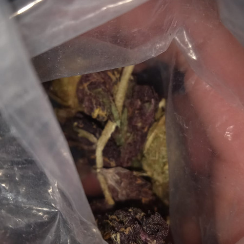 dialecto de entidad oscura